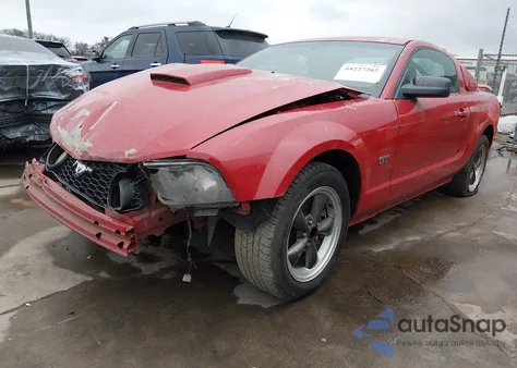 2007 Ford Mustang Gt Deluxe/Gt Premium from USA, damaged, VIN 1ZVFT82H875219771